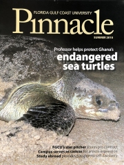 2010 Pinnacle Summer Cover