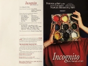 2011 Incognito Outside