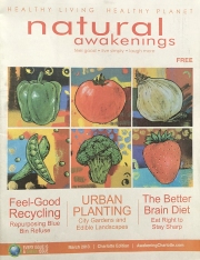 2013 Natural Awakenings Charlotte