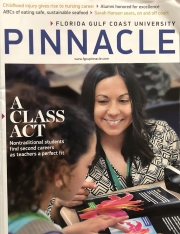 2014 Pinnacle Summer Front