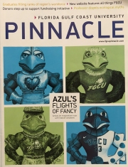 2015 Pinnacle Spring Front