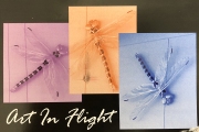 2008 Art In Flight Card Front