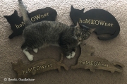 Kip HoMEOWner WM