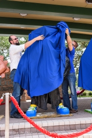 2015 AZUL 23 WM