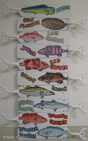 Catch of the Day WM