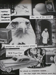 The Egg of the Month WM