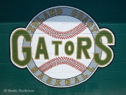 GatorBaseball 3 WM