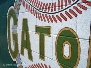 Gator Baseball 4 WM