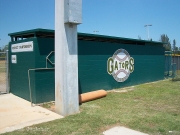 Gator Baseball 2 WM
