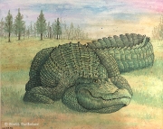 2019 Gator WM