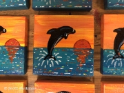 Dolphin Multi 1 WM