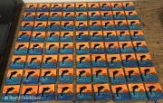 Dolphin Multi WM