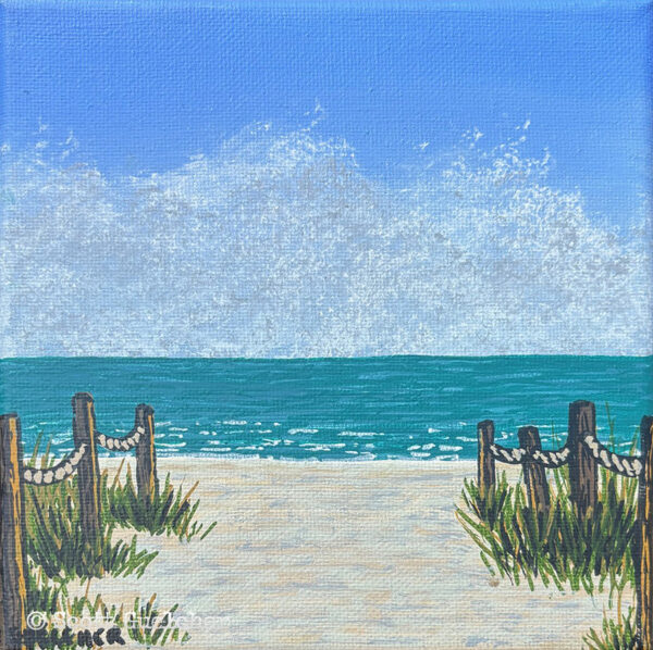A Day in SWFL (Beach #1)