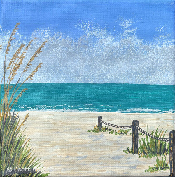 A Day in SWFL (Beach #2)