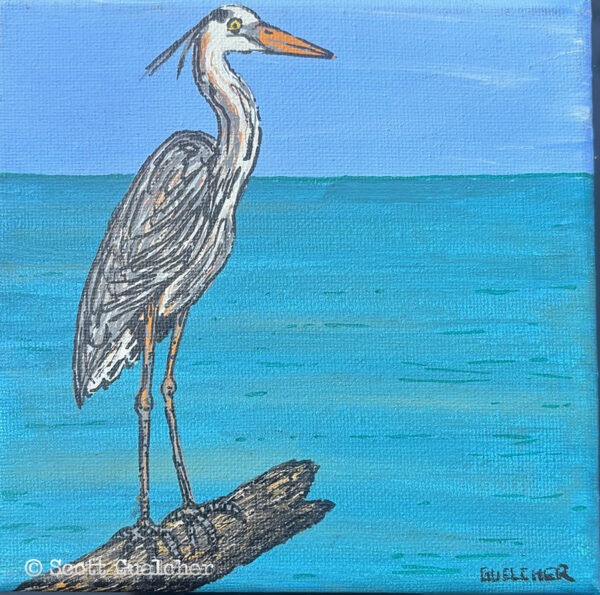 Bird in Paradise