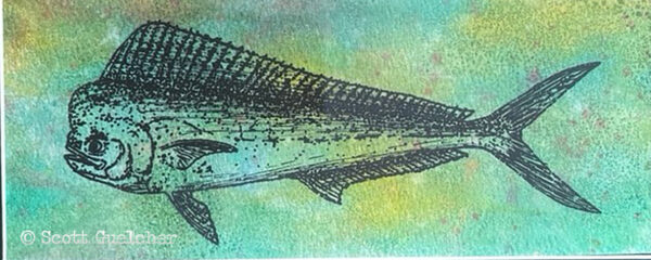 Dolphin Fish - Image 2
