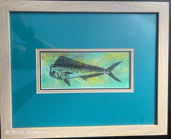 Dolphin Fish
