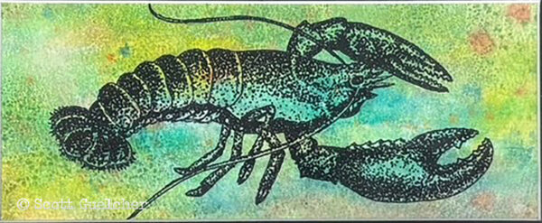 Lobster - Image 2