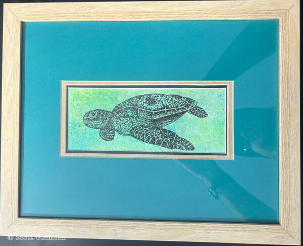 Turtle
