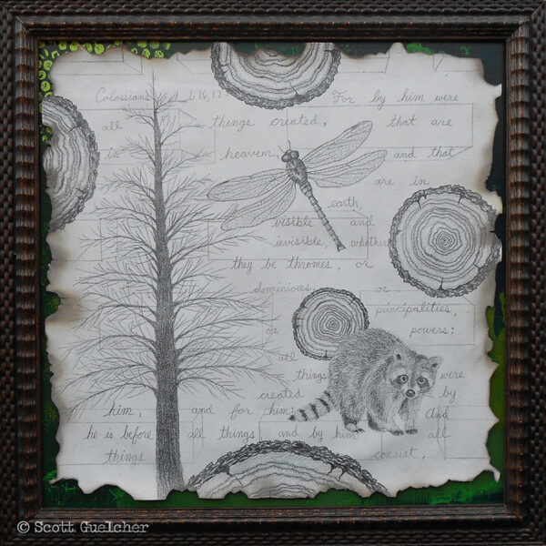 Untitled #1 (Nature Created)