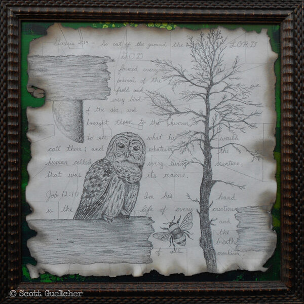 Untitled #3 (Nature Created)